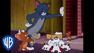 Tom & Jerry | Holidays with Family 🏠| Classic Cartoon | WB Kids