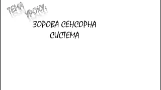 ЗОРОВА СЕНСОРНА СИСТЕМА. БУДОВА ОКА