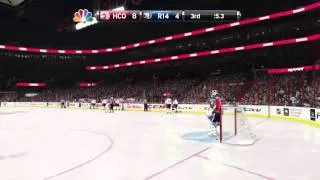 NHL 15 Zidlicky goal