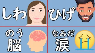 100 Japanese Nouns about the Body to Enhance Your Vocabulary