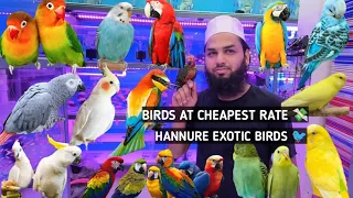 Hannure exotic bird shop in kurla l birds at cheapest price l kurla market 🐦