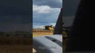 Farming in Denmark never dissapoints