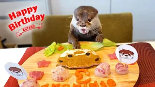 Otter Happy Birthday Cake Surprise Party!