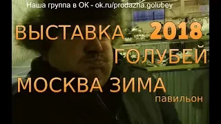 Выставка голубей в Москве 24 февраля 2018года.  Павильон. Часть 1