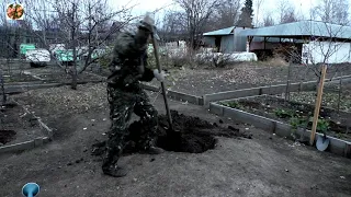 Как правильно посадить яблоню на Урале!