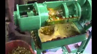 Canola Oil Extraction - Canola Screw Press