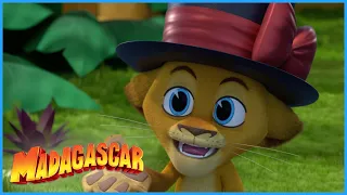 Alex is a magician | DreamWorks Madagascar