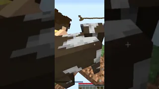 Torturing Minecraft Youtubers