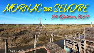 137 Mornac sur Seudre 24Octobre2021