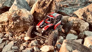 Axial Capra 4WS dominates some lines.
