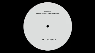 Adam Port - Planet 9