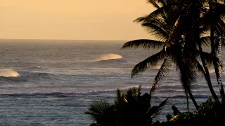 Surfing in Dominican Republic [Surfholidays, серфинг]