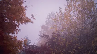 autumn & winter | indie playlist