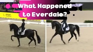 What Happened To Everdales Tail? Ridden By Charlotte Fry In The Grand Prix Dressage Test
