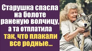 Старушка спасла на болоте раненую волчицу, а та отплатила так, что плакали все родные