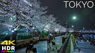 【4K HDR】Tokyo Japan - Sakura illumination evening walk tour 2023