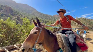 #VLOG103 | و أخيرًا رحلتي الجديدة😍بالبغل بين جبال الأطلس ⛰️🇲🇦