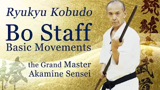 The best Bo Staff Basic | the Grand Master shows you | Ryukyu Kobudo | Ageshio Japan