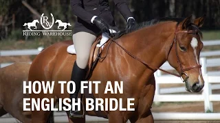 How To Fit an English Bridle on Your Horse