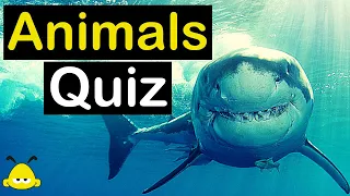 Animal Quiz Trivia (DISCOVER The Animal Kingdom) - 20 Questions & Answers - 20 Fun Facts