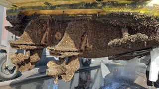 Extreme Barnacle Blasting and Removal