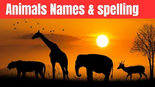 Learn Wild Animals Names For Nursery Preschool Kids Animal Vocabulary In English Jungle Animals