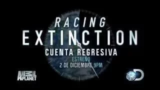 Racing Extinction trailer en español