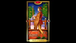 SAGITTARIUS   Daily Tarot Reading for FEBRUARY 10, 2022