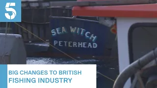 Will Brexit restore the UK's fishing industry? | 5 News