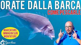 Pesca all Orata Dalla Barca, come si pescano le orate, tutorial di Stefano Adami