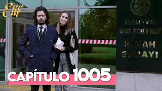 Elif Quinta Temporada Capítulo 1005 | Elif Capítulo 1005