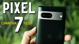 Google Pixel 7 CAMERA TEST by a Photographer | Watch before you Buy