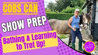 Show Prep Bathing & Learning to Trot Up! (Video #17)