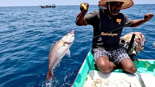 Back to Back Rosy Snapper Fishing in Deep Sea
