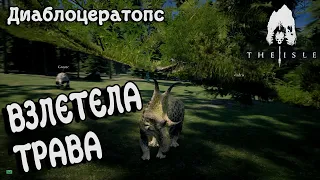 Лучшая игра про динозавров The Isle Диаблоцератопс | СТАЛИ ХИЩНИКАМИ