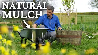 11 Amazing Mulch Materials for Permaculture Gardening