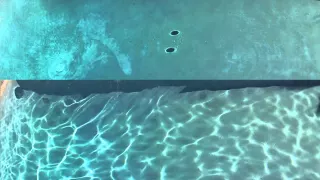 Vortex vs. Ripple in Pool