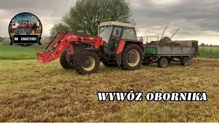 ✅️Wywóz Obornika🚜🔜Polska Myśl Technologiczna, Rozrzutnik przerobiony na Talerzowy ✅️😎