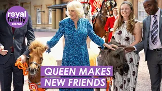 Queen Camilla Strokes Adorable Animals at Buckingham Palace