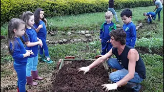 Dicas para organizar uma horta na escola