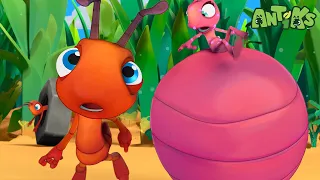 Fast Food | 😄🐜| Antiks Adventures - Joey and Boo's Playtime