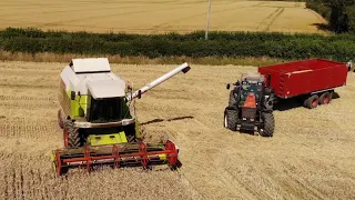 harvest 20! Claas mega 208