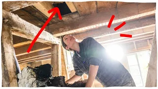 I had to call an architect...and I need to make some decisions! (Rescuing a 120 year old house)