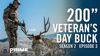 Prime Revolution | 200 inch Colorado Mule Deer