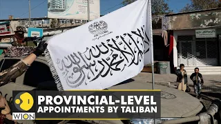 Taliban appoints 44 governors, police chiefs around Afghanistan | Latest World English News | WION