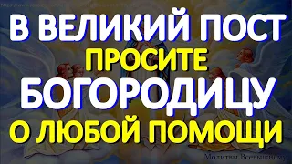 В Великий Пост просите Богородицу о любой помощи. У молитвы чудесная сила