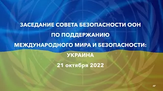 Live: Заседание Совета Безопасности ООН по ситуации в Украине