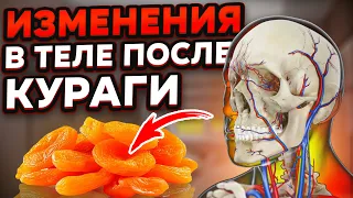 КУРАГА станет дефицитом, когда все узнают про ЭТИ свойства! Возрождает ОРГАНЫ, МОЛОДОСТЬ и даже