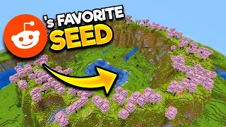 Are The 10 Best 1.20 Seeds Actually Any Good?