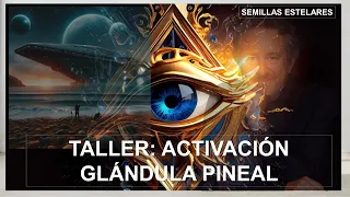 🛑COMO ACTIVAR TU GLÁNDULA PINEAL- TALLER -